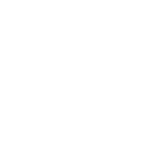 BRAMA Events Logo